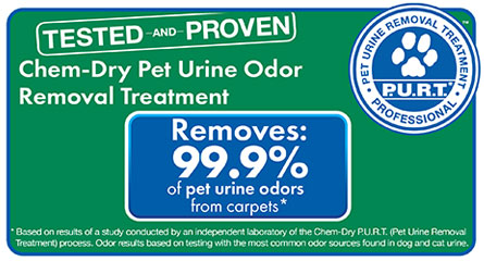 A-1 Garden State Chem-Dry removes 99.9% of pet urine odors in carpets